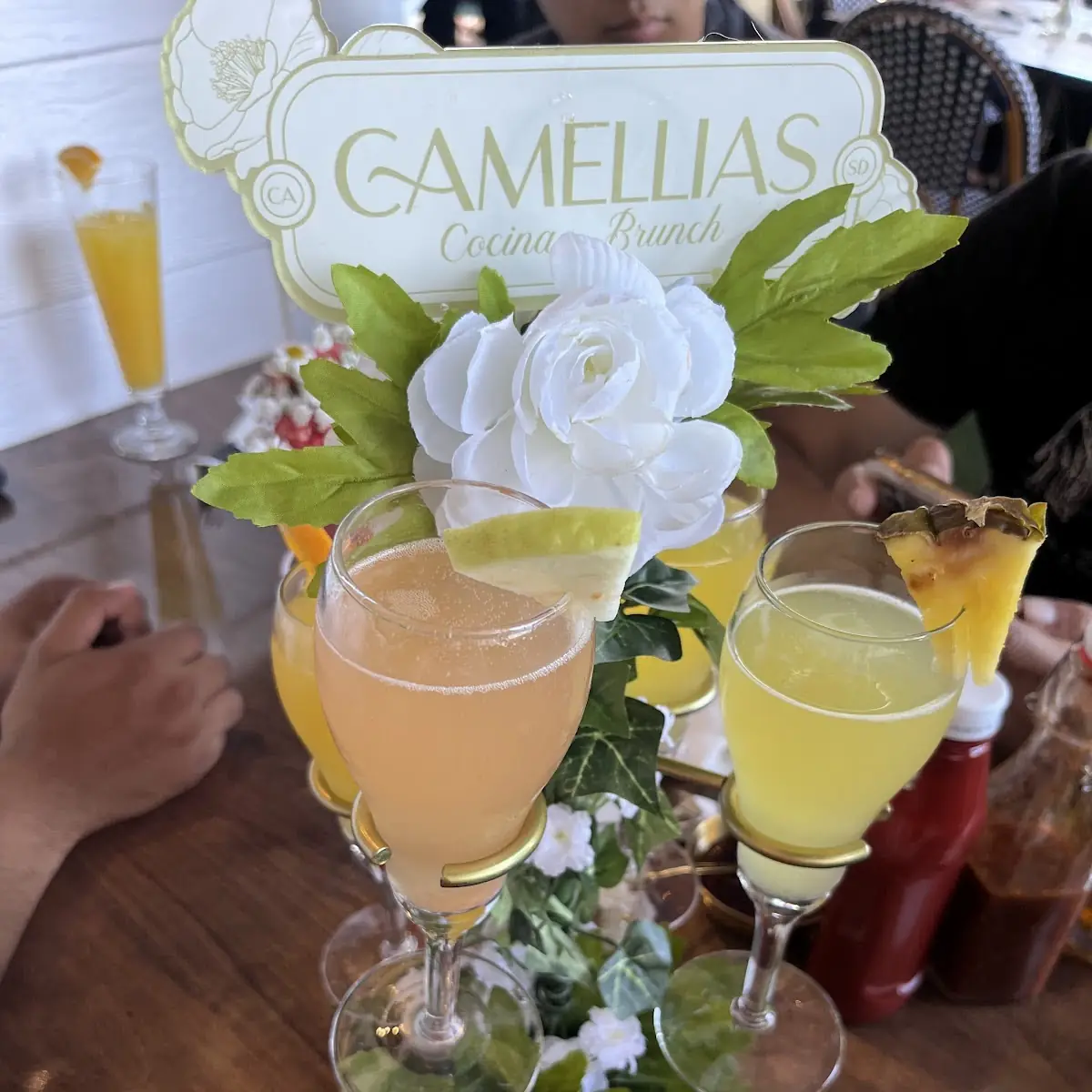 Mimosa Flight