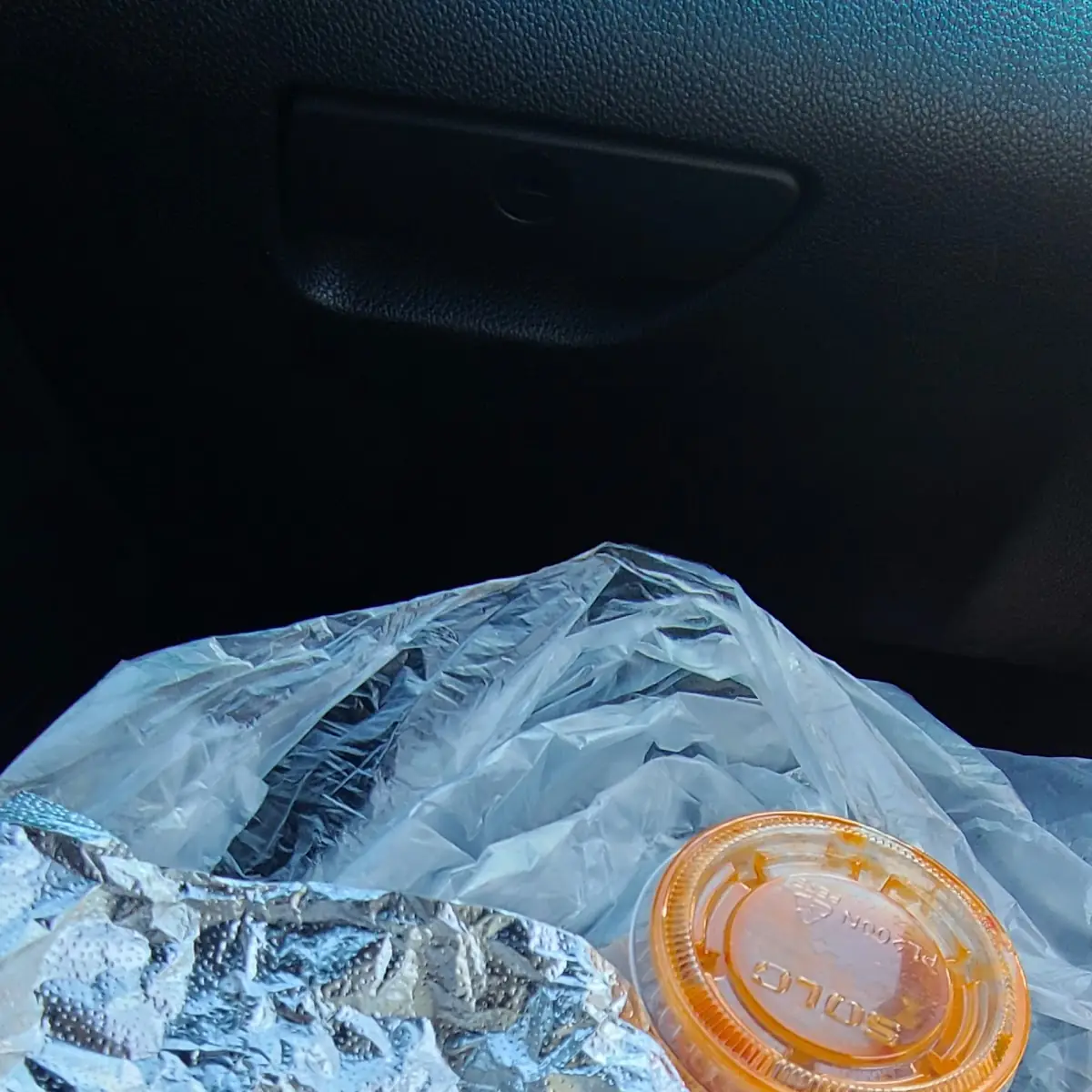 Carne Asada Burrito