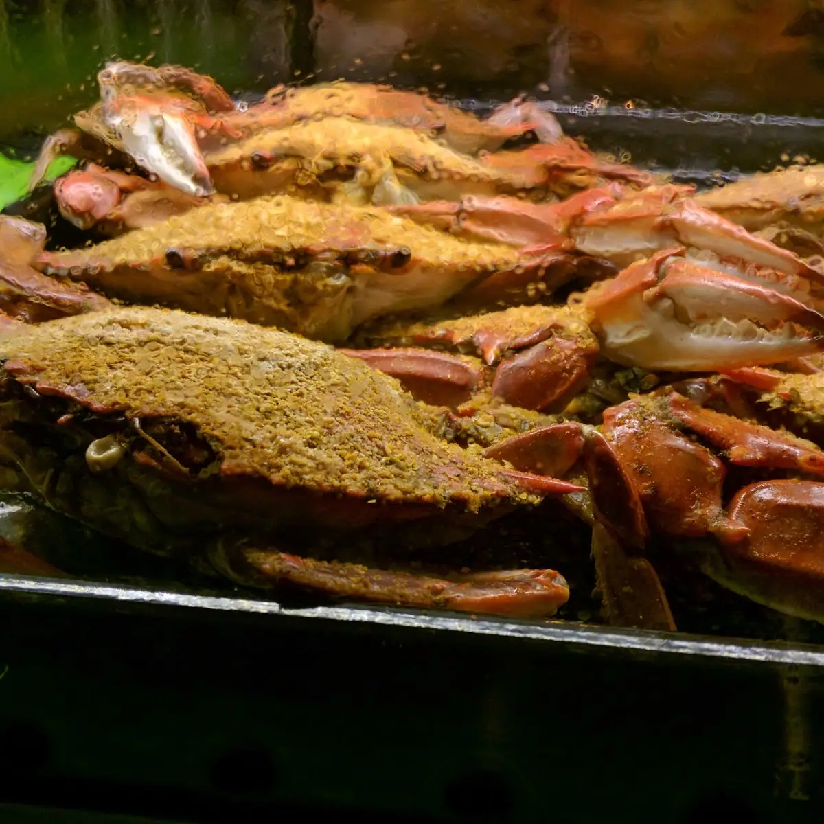 Dungeness Crabs