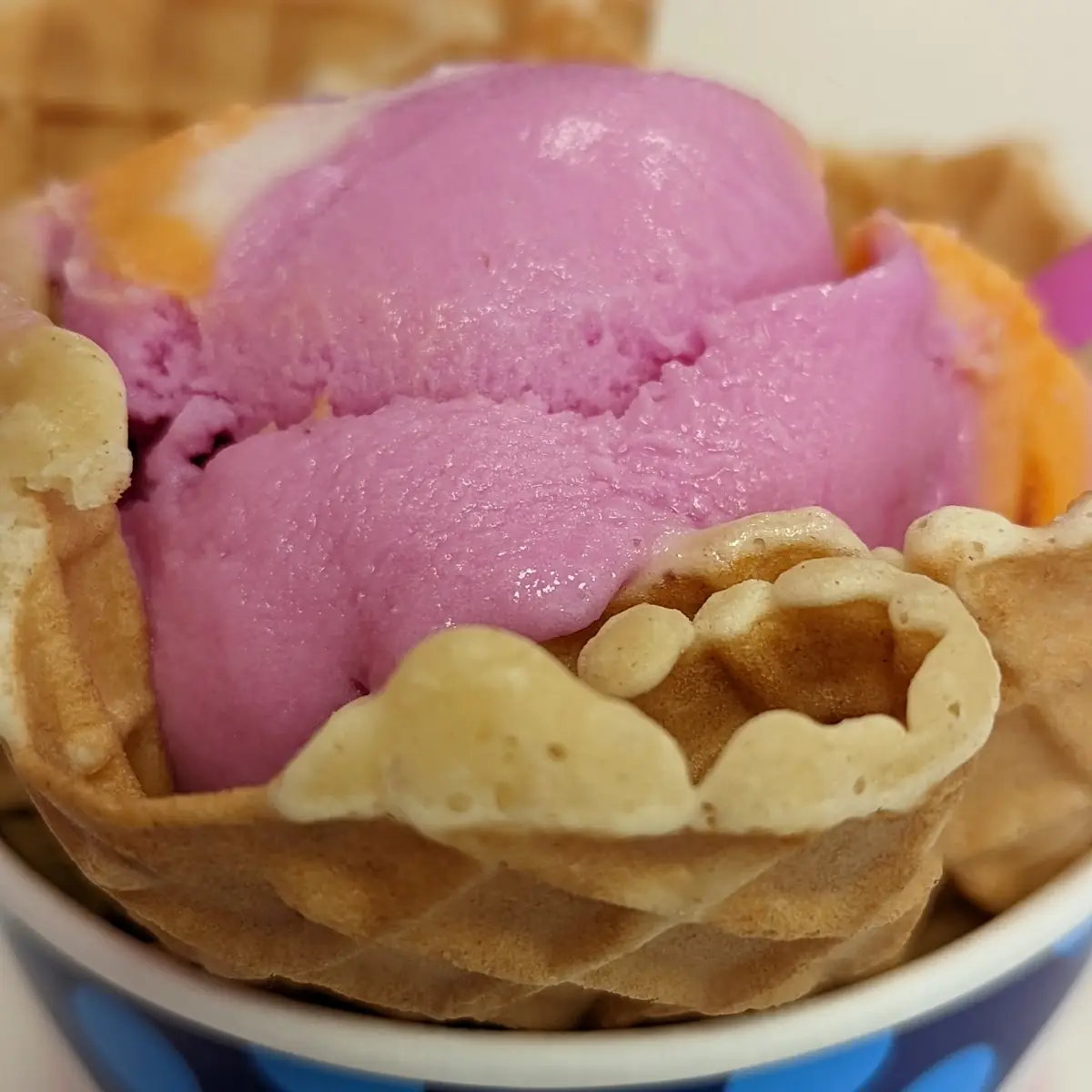 Fresh-Baked Waffle Cone