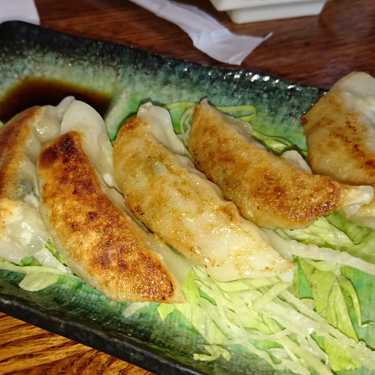 Pan-Fried Dumplings