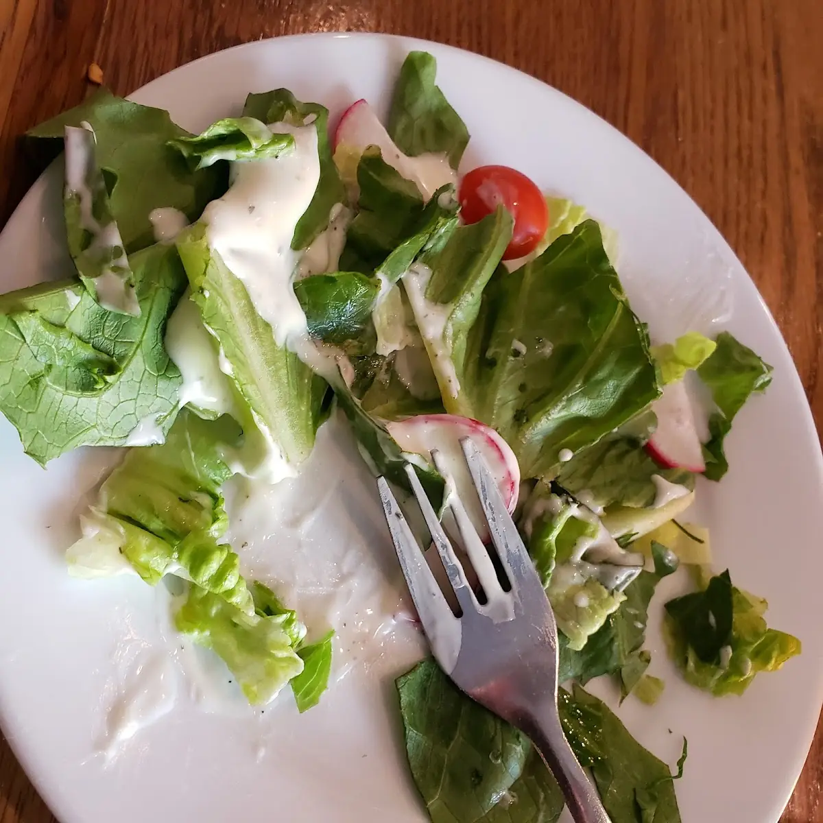 Salad Appetizer