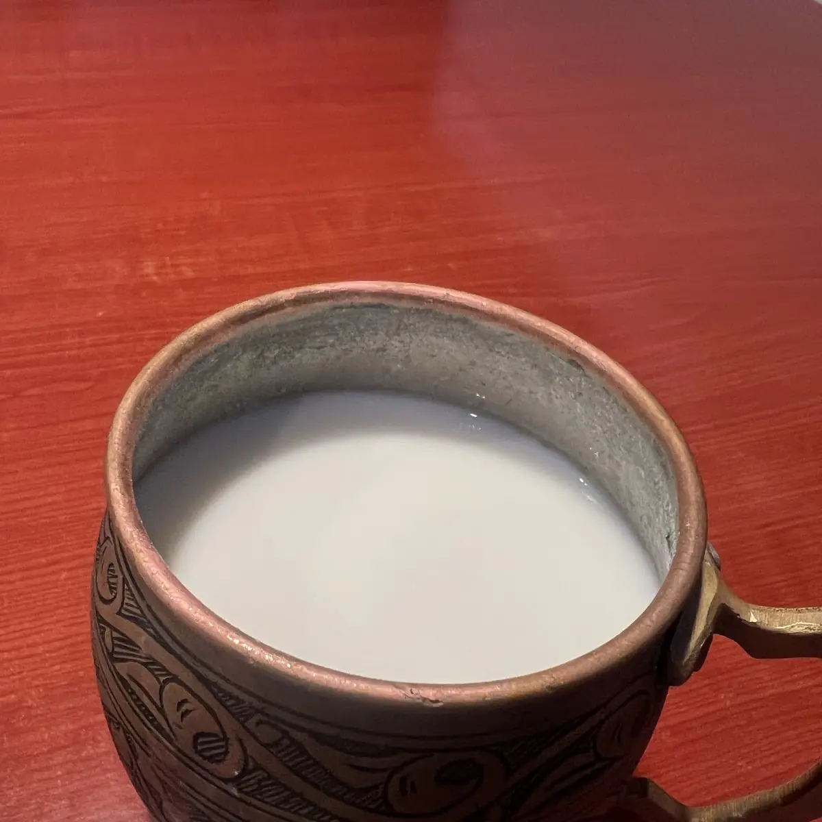 Ayran Home Made Yogurt Drink