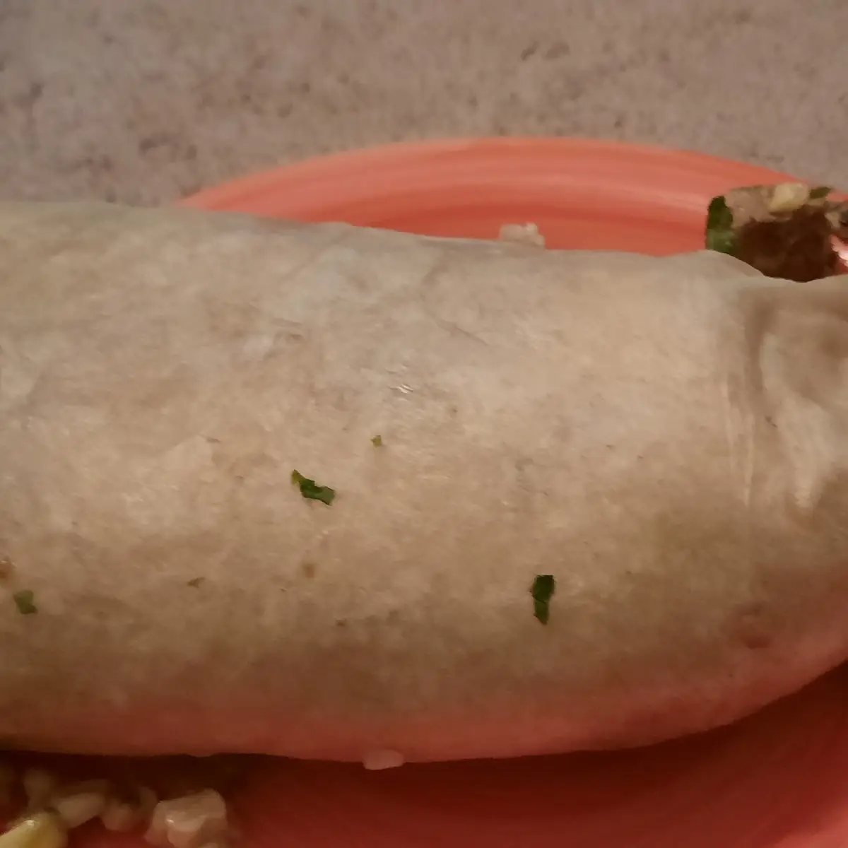 Steak and Chicken Burrito