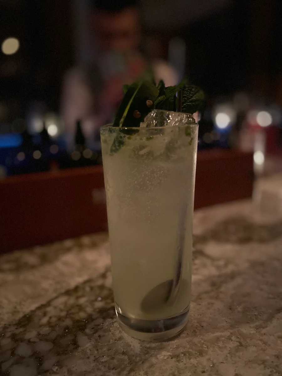 Gin Fizz