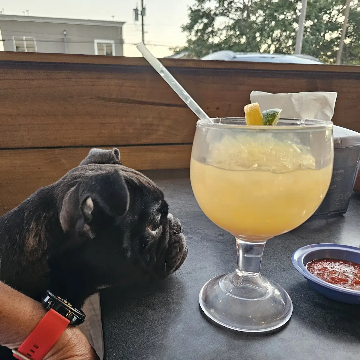 Top Shelf Margarita