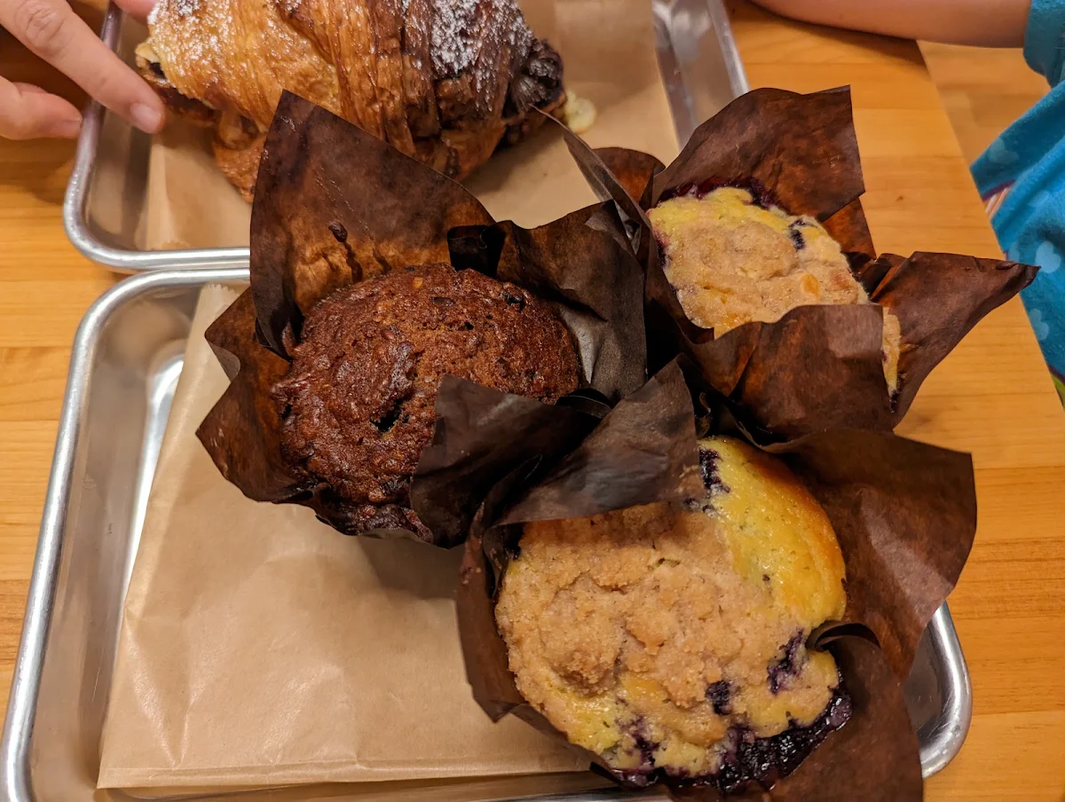 Blueberry and Morning Glory Cupcake