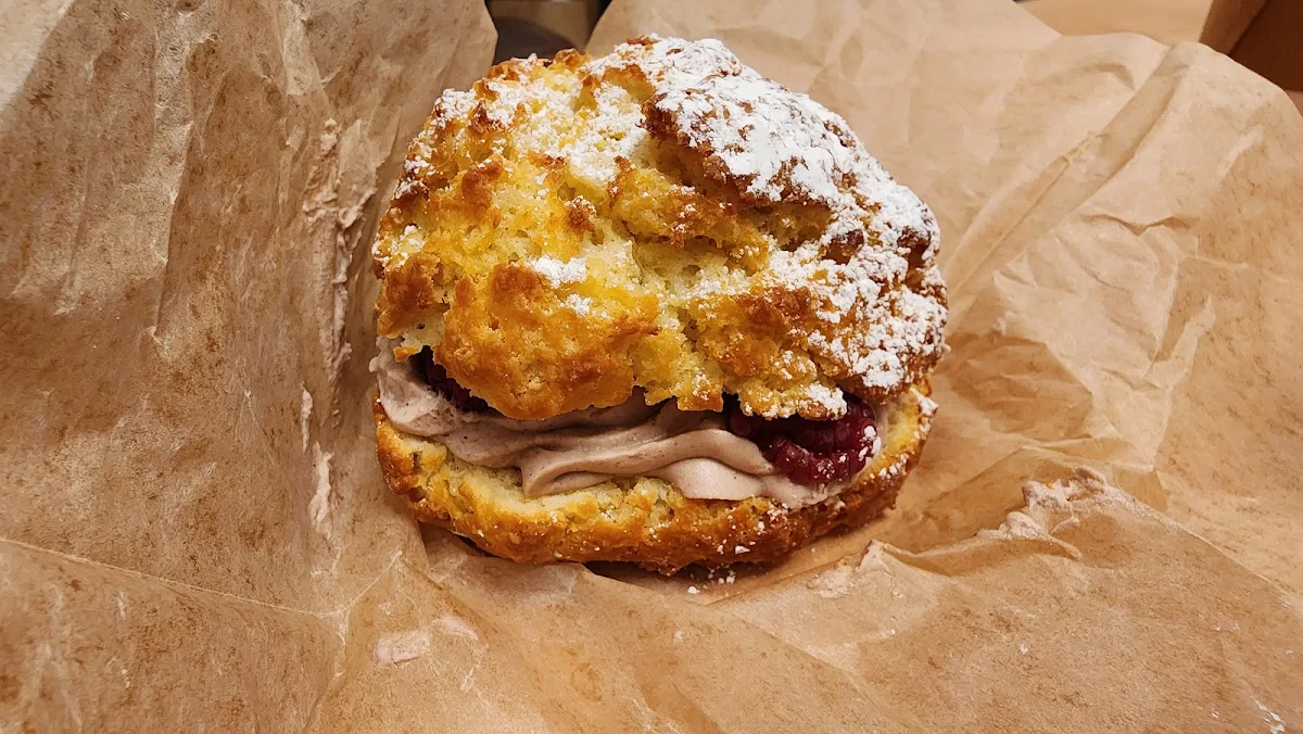Dark Chocolate Raspberry Shortcake