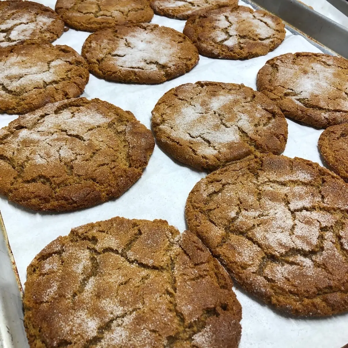 Molasses Cookie
