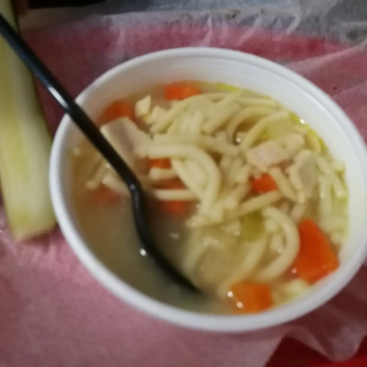 Chicken Noodle Soup