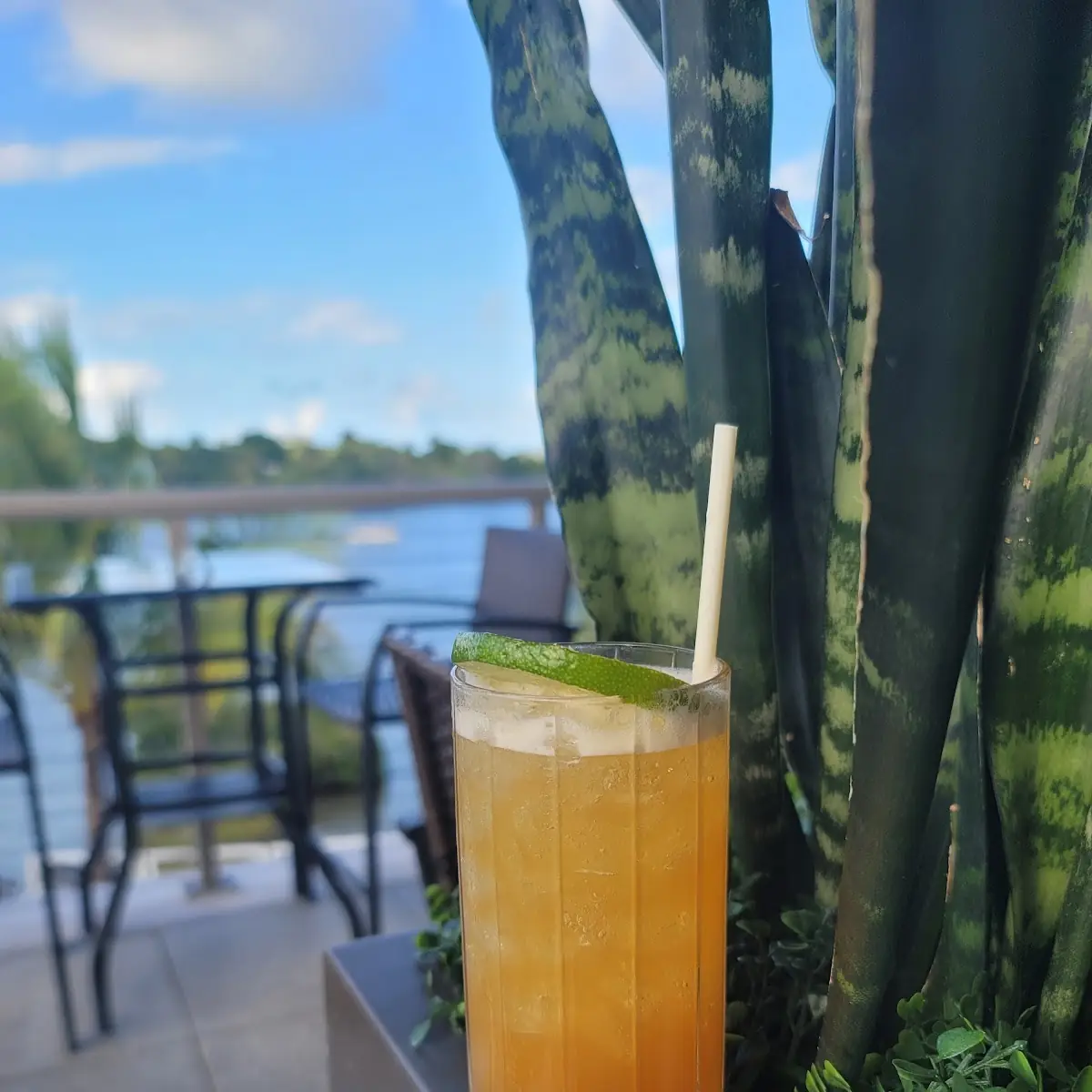 Mai Tai