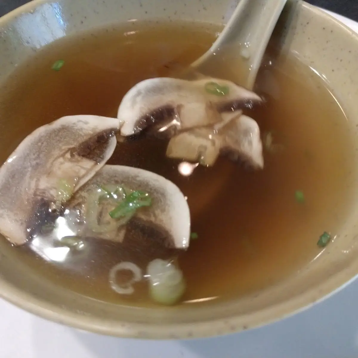 Onion Soup