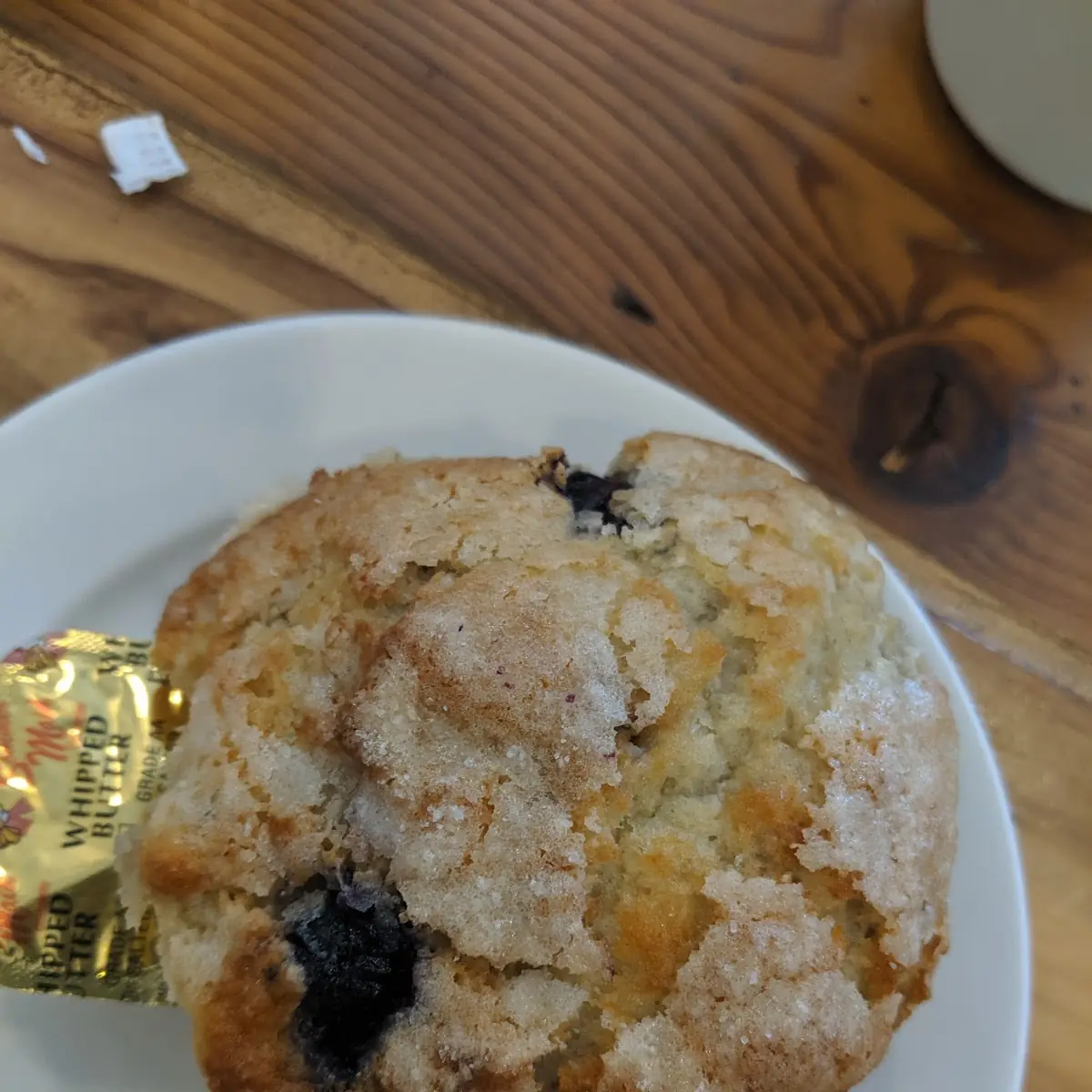 Blueberry Muffin