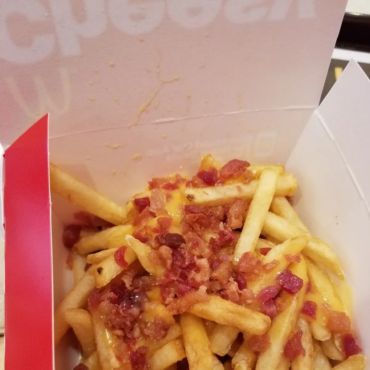 World Famous Fries