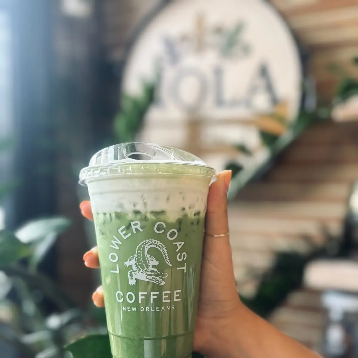 Sugar Cookie Matcha