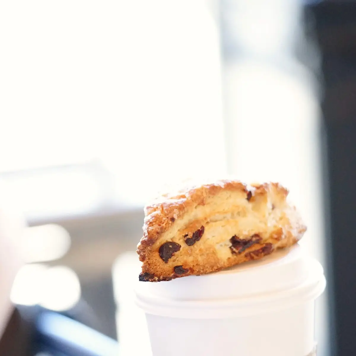 Chocolate Chip Cookie