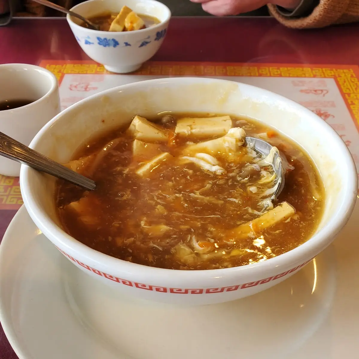 Ve Hot & Sour Soup
