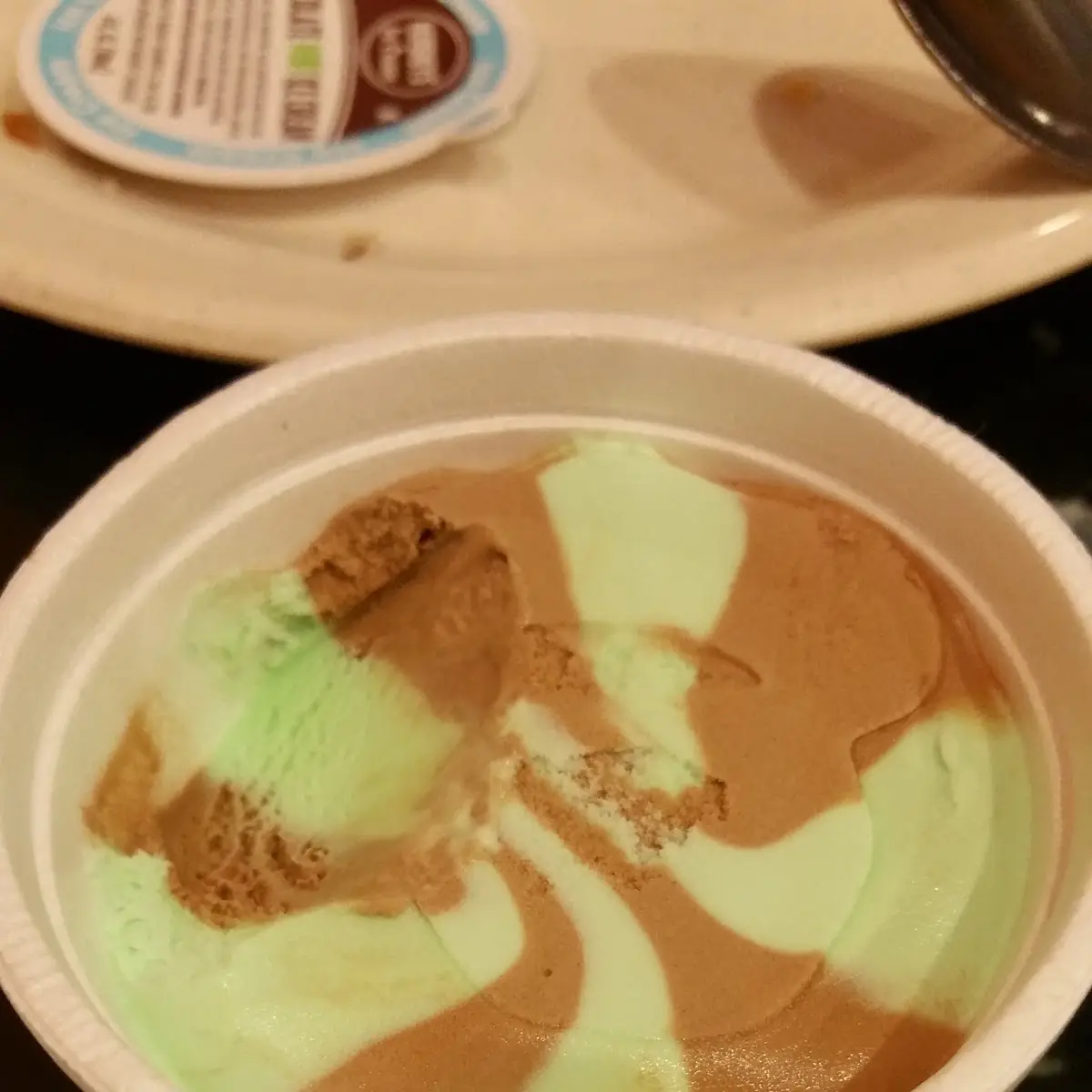 Mint Chocolate Ice Cream