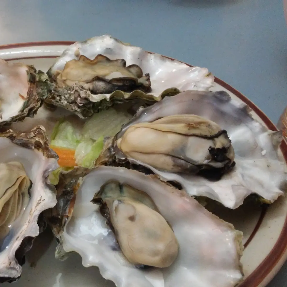 1 2 Dozen Oysters