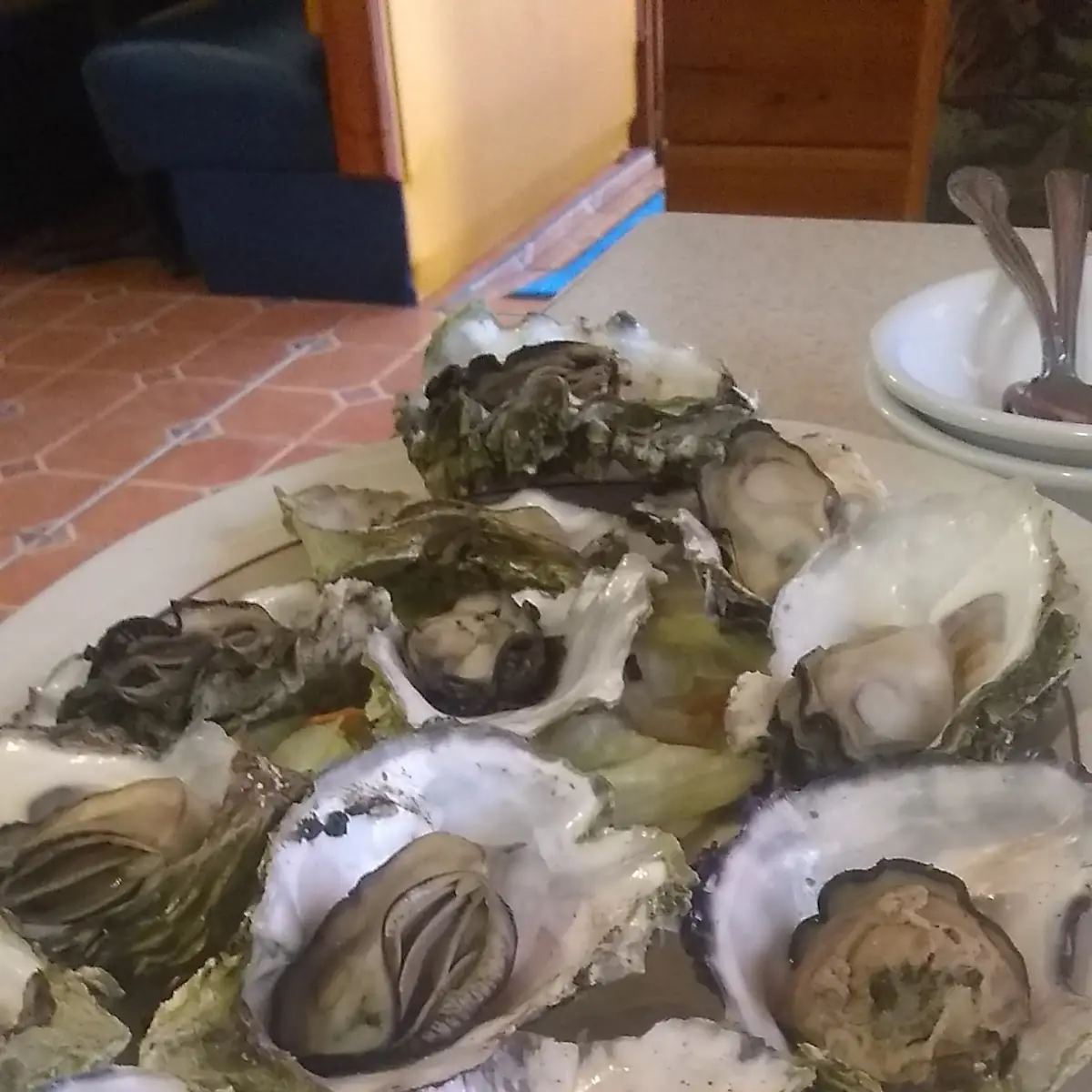 Oysters on the Half Shell