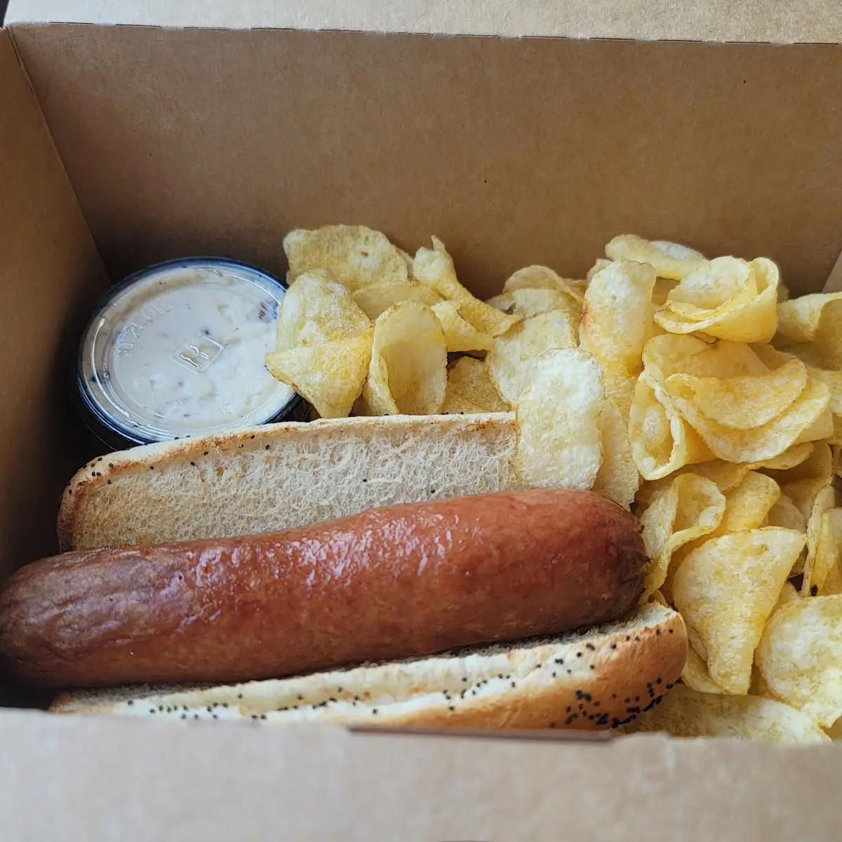 Plain Dog with Homemade Chips and Dips