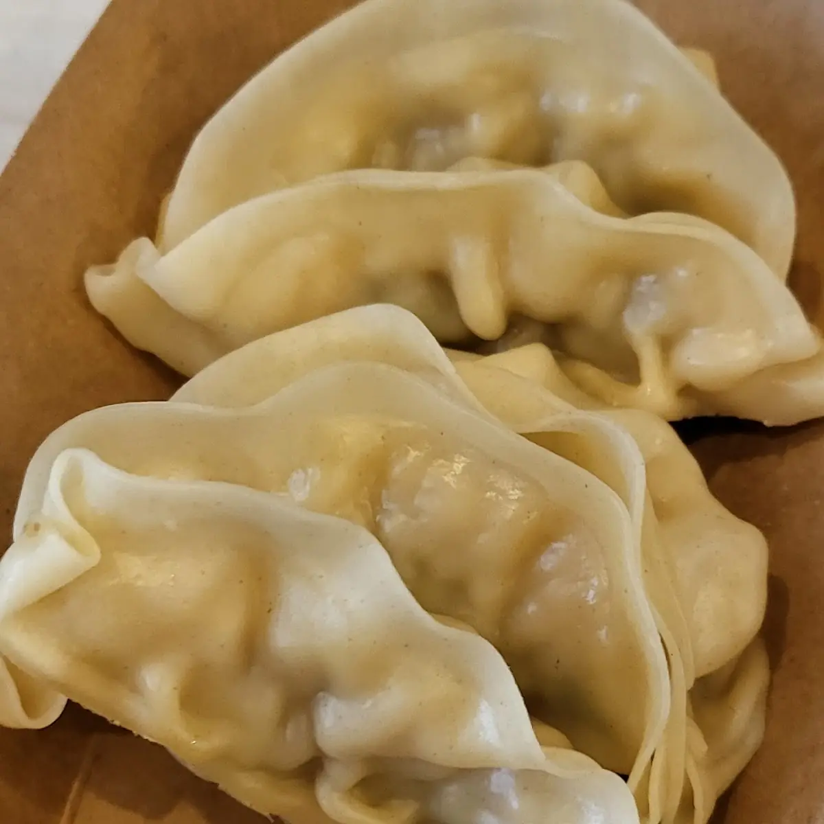 Steamed Gyoza Pork