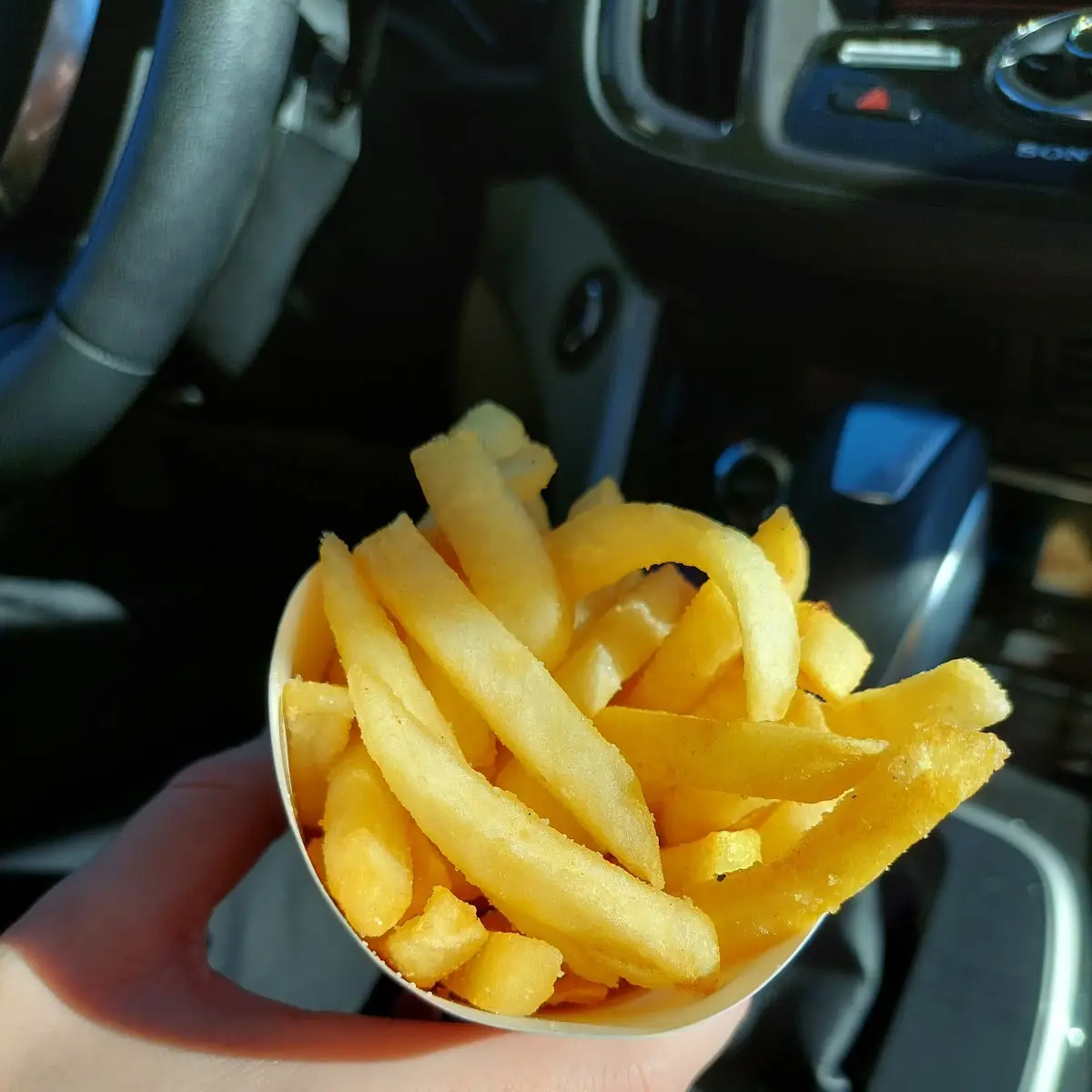 Medium Fries