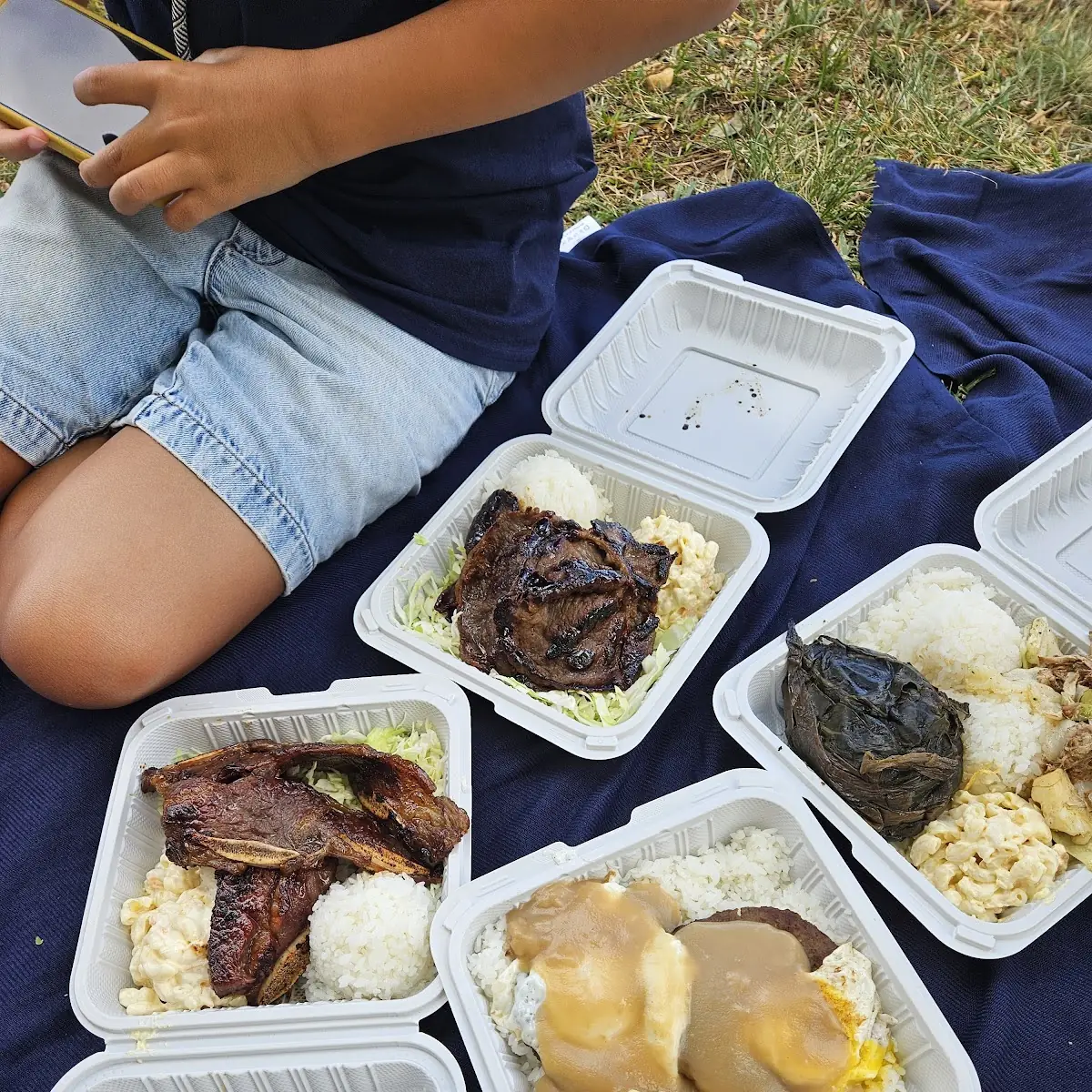 Hawaiian BBQ Mix