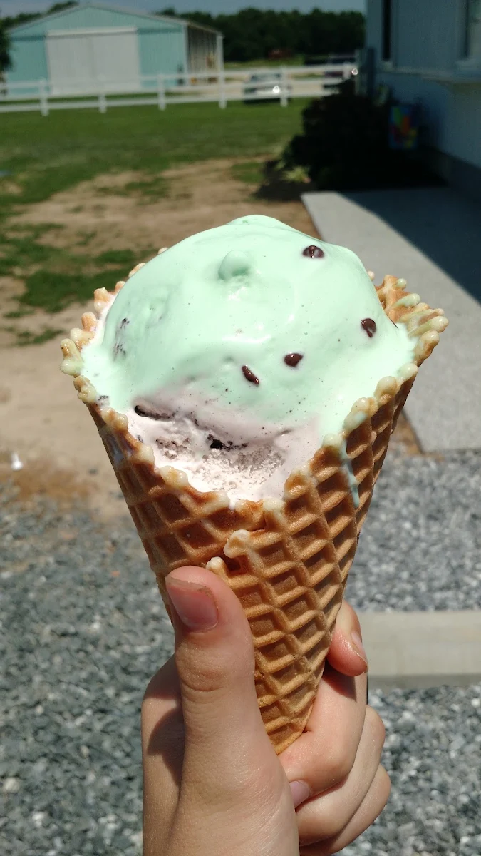 Cherry Vanilla Chocolate Mint Chip