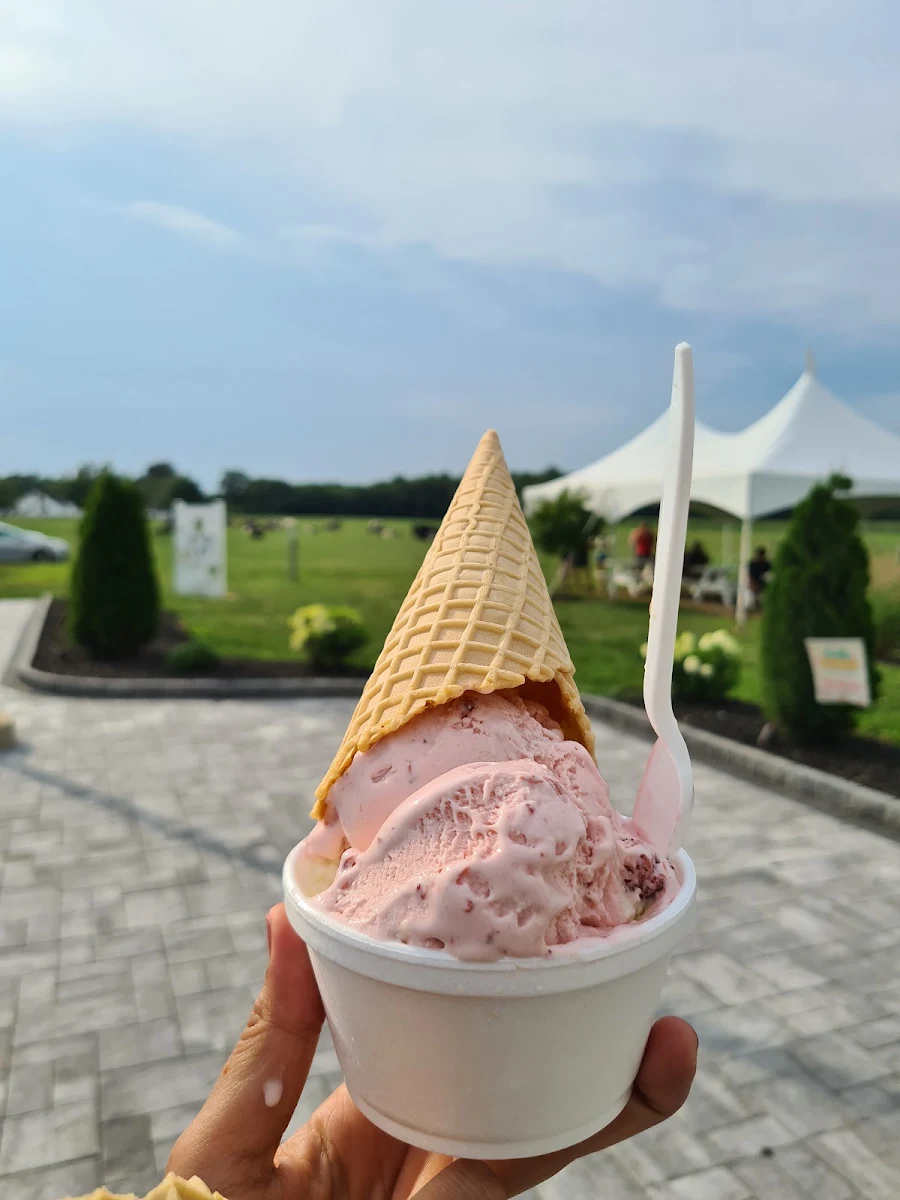 Gelato
