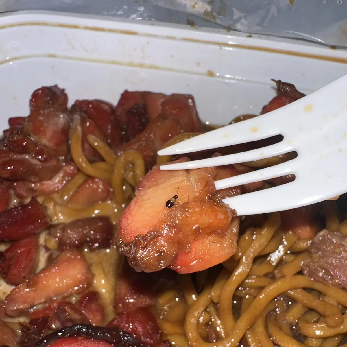Roast Pork Lo Mein Lunch Plate