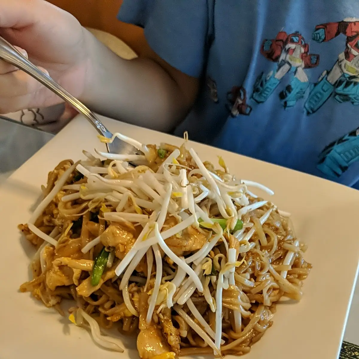 Pad Thai Chicken