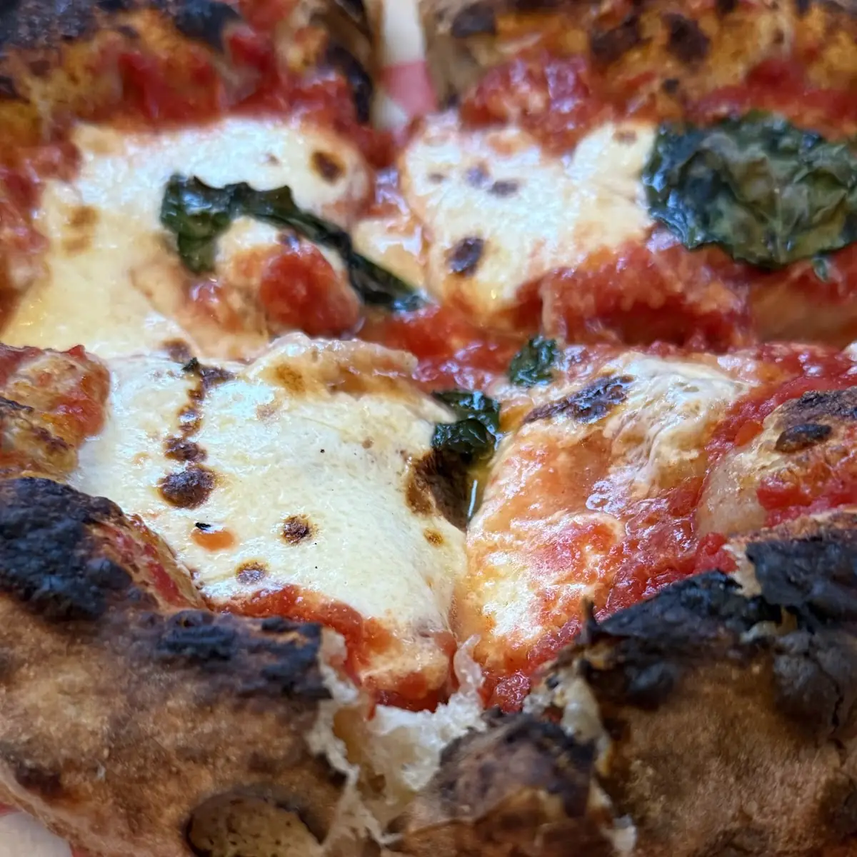 Cheese Pizza