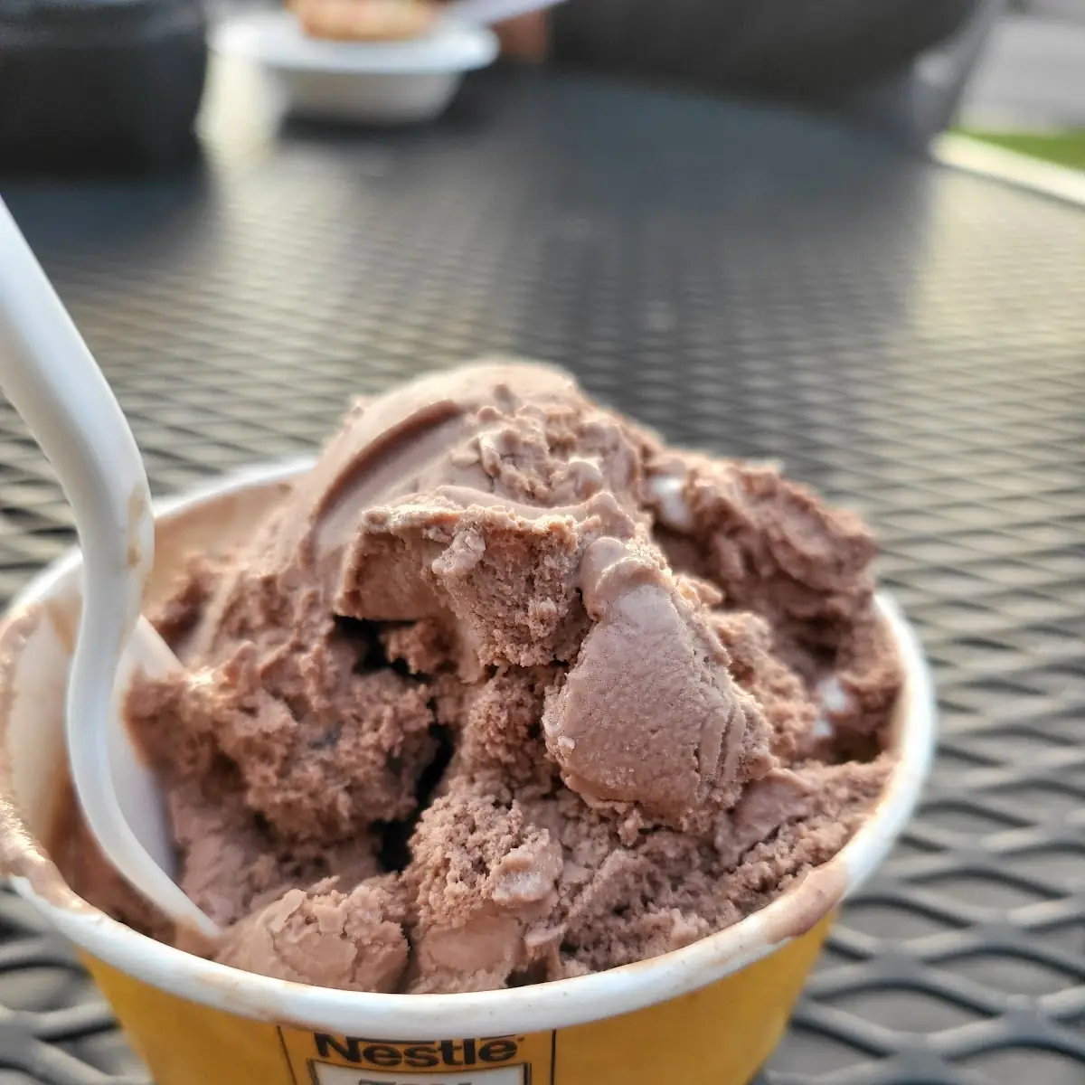 Chocolate Ice Cream
