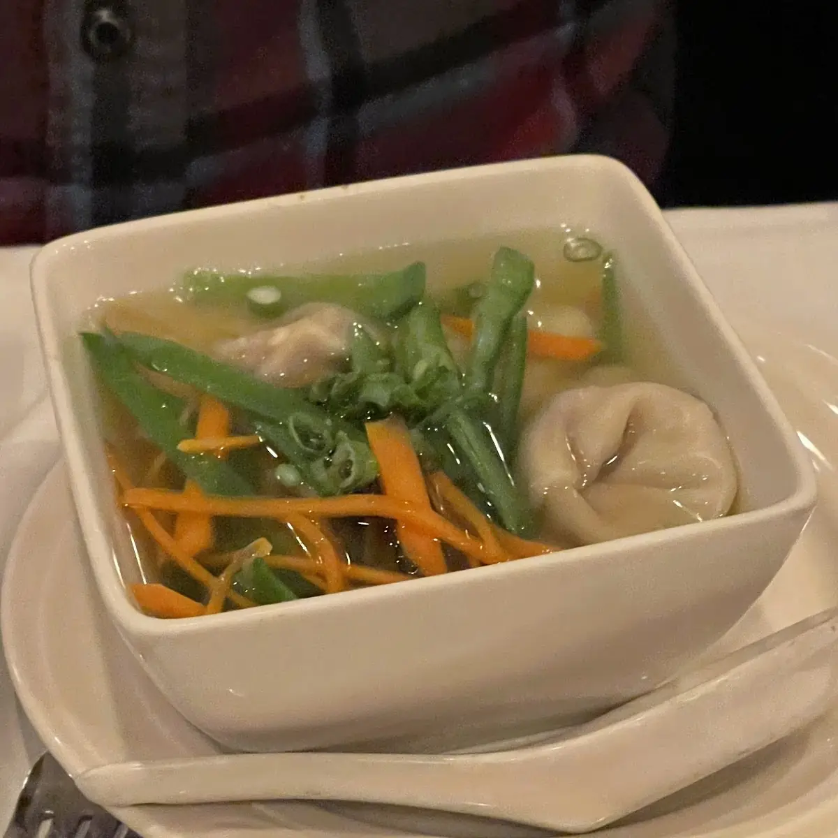 Wonton Soup
