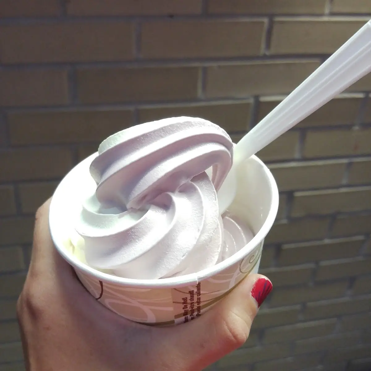 Frozen Custard