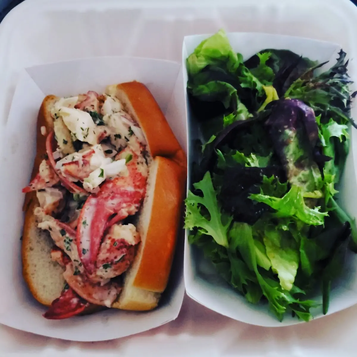 Lobster Roll with Green Salad