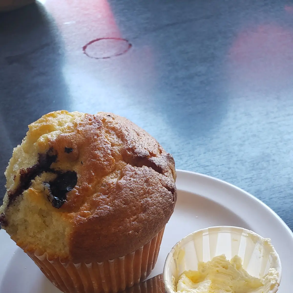 Blueberry Muffin