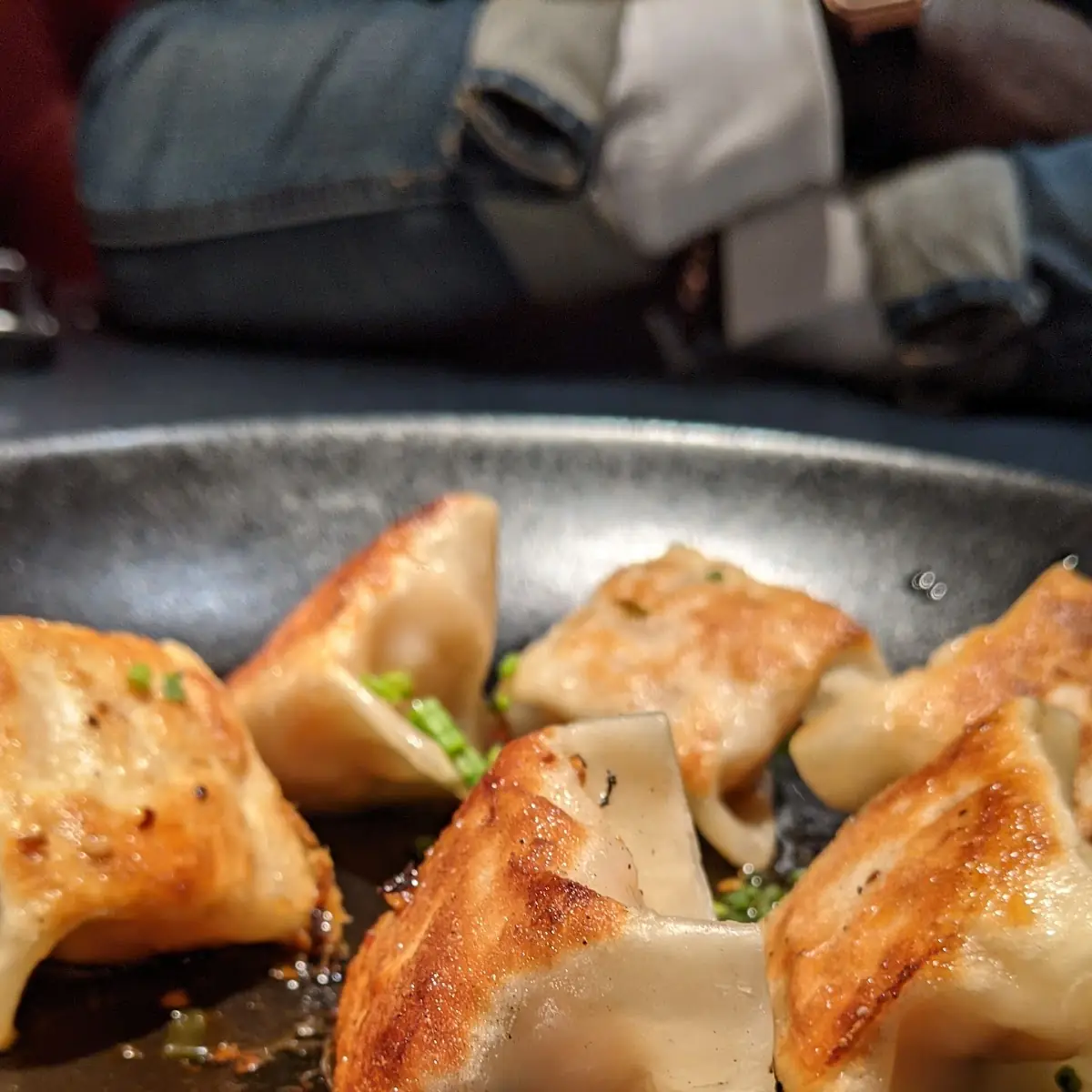 Pan Fried Dumplings