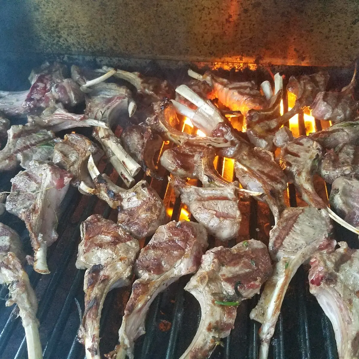 New Zealand Lamb Chop