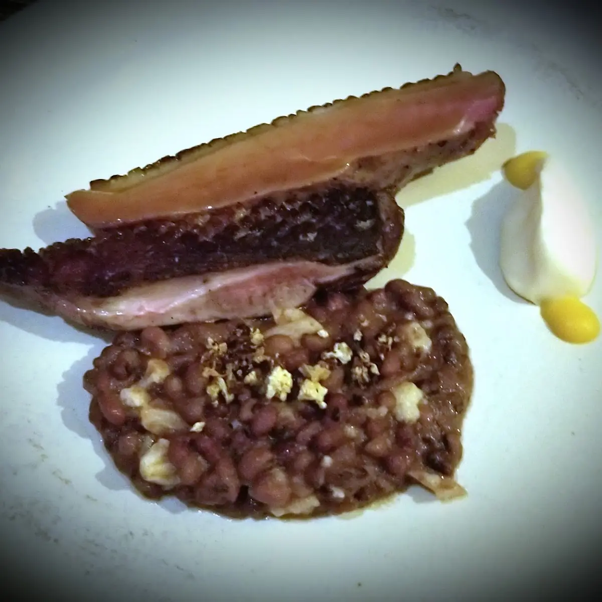 Duck Breast