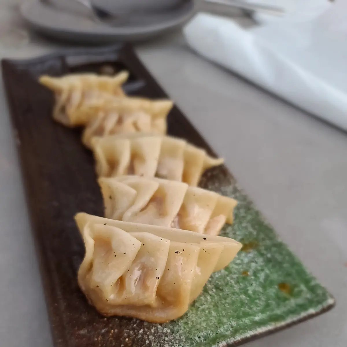 Pork & Leek Dumpling