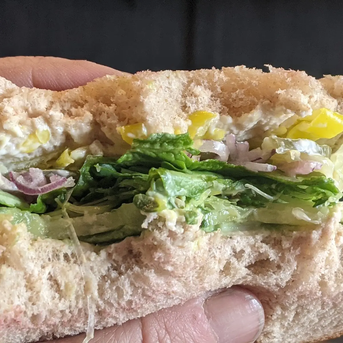 Veggie on Rye