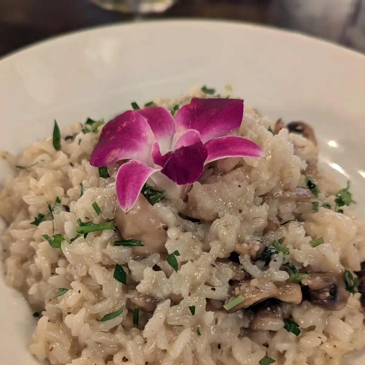 Wild Mushroom Risotto