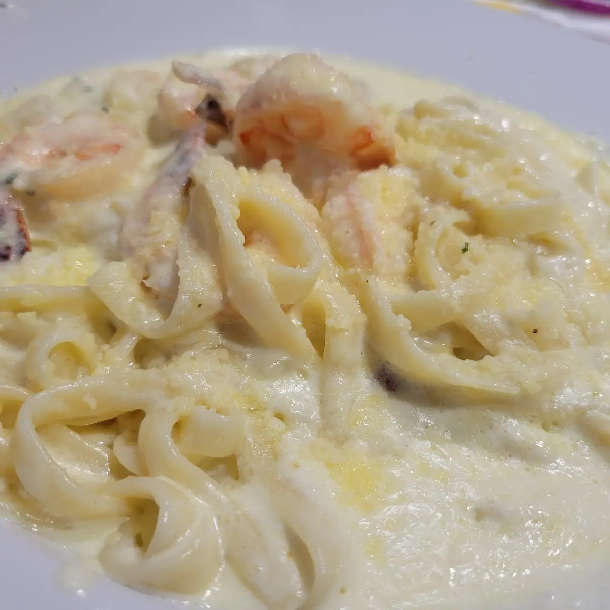 Shrimp Alfredo