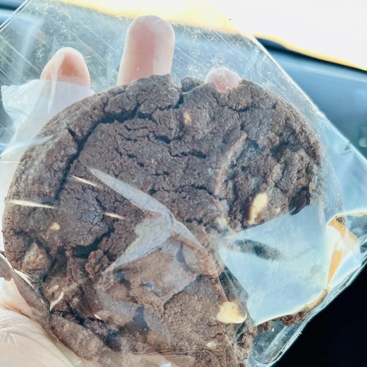 Double Chocolate Chip Cookie
