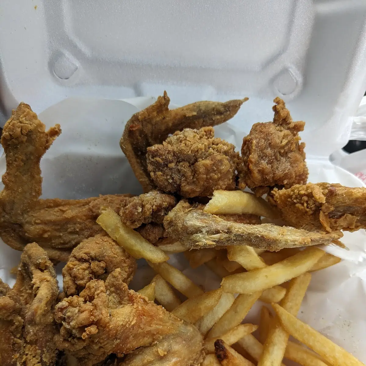 Chicken Wings and Fries