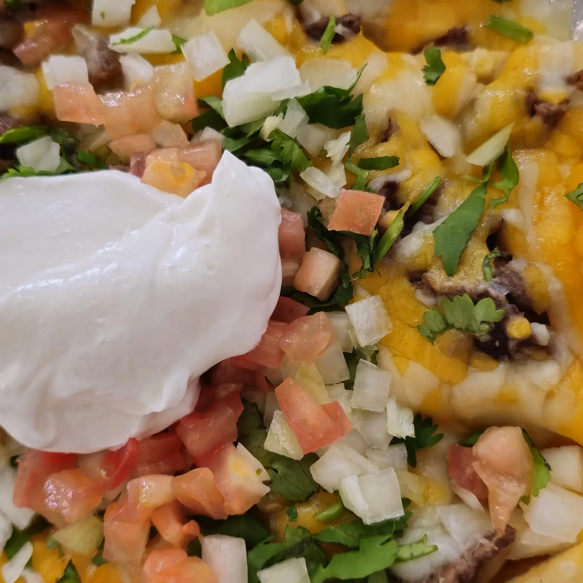Large Carne Asada Fries