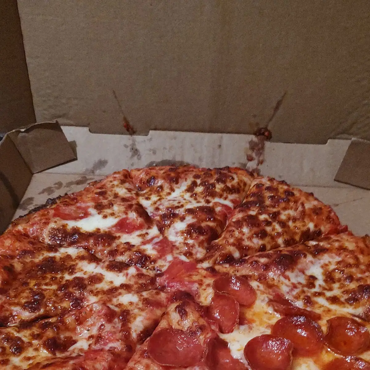 Medium Cheese Pizza