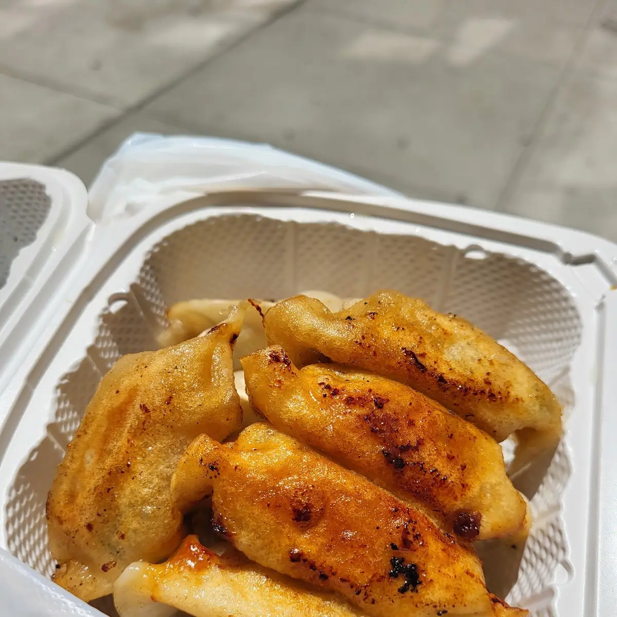 Pork Dumplings
